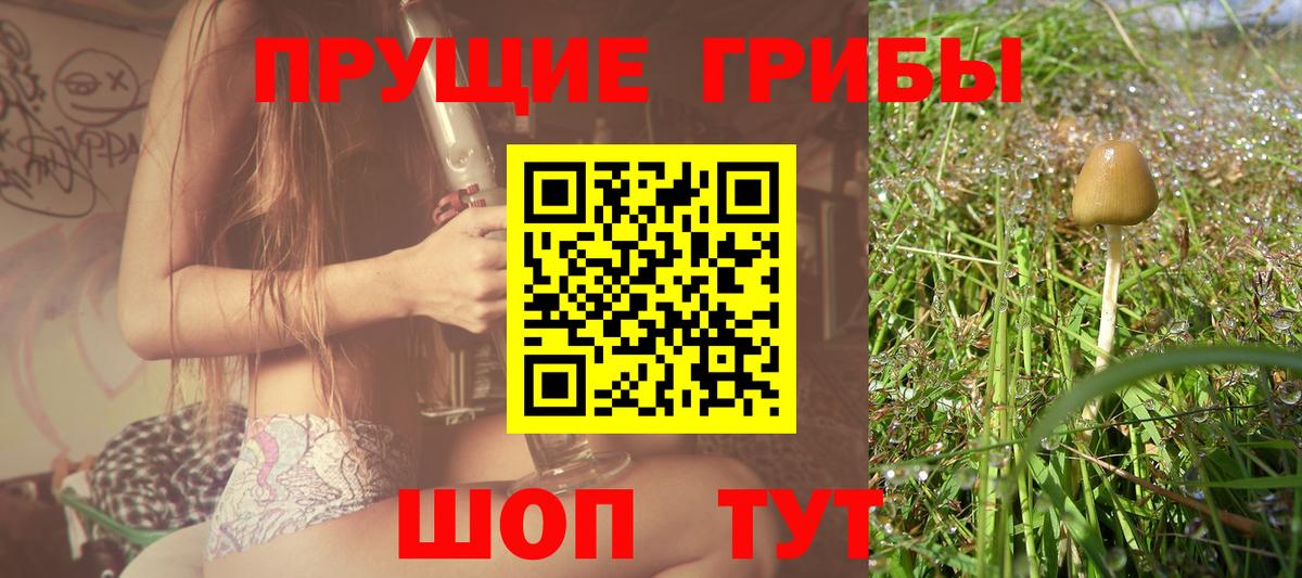 Галлюциногенные грибы прущие грибы  Вход с VPN  Нефтеюганск 